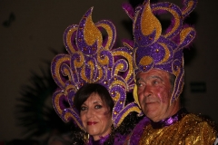 carnaval-miguelturra-celebracion-nacional-2018
