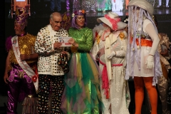 carnival-miguelturra-celebration-national-2018