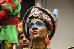 carnival-miguelturra-celebration-national-2018