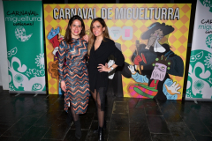 carnaval-miguelturra-cena-mascaras-mayores-2023