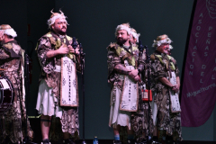 carnival-miguelturra-chirigota-mission-2023