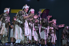 carnival-miguelturra-chirigota-mission-2023