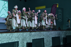 carnaval-miguelturra-chirigota-mision-2023