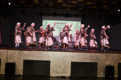 carnival-miguelturra-chirigota-mission-2023