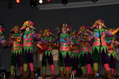 carnival-miguelturra-chirigotas-2023