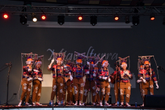 carnival-miguelturra-chirigotas-2023