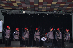 carnival-miguelturra-chirigotas-2024