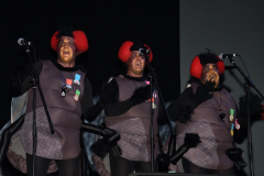 carnival-miguelturra-chirigotas-2024