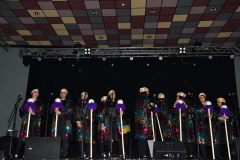 carnival-miguelturra-chirigotas-2024