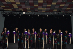 carnival-miguelturra-chirigotas-2024