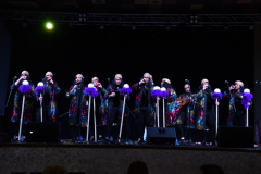 carnival-miguelturra-chirigotas-2024