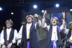 carnival-miguelturra-chirigotas-2025