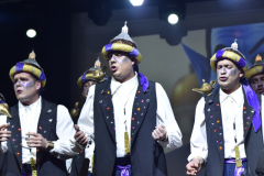 carnival-miguelturra-chirigotas-2025