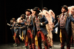 carnaval-miguelturra-angeles-2018