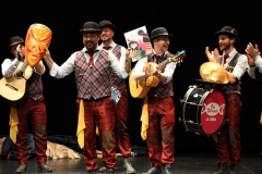 carnaval-miguelturra-angeles-2018