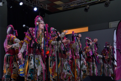 carnaval-miguelturra-precarnaval-2026