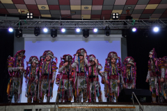 carnaval-miguelturra-precarnaval-2026