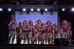 carnaval-miguelturra-precarnaval-2026