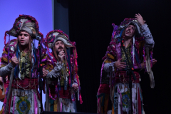 carnaval-miguelturra-precarnaval-2026