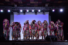 carnaval-miguelturra-precarnaval-2026