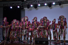 carnaval-miguelturra-precarnaval-2026