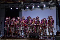 carnaval-miguelturra-precarnaval-2026