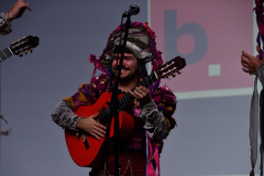 carnaval-miguelturra-precarnaval-2026