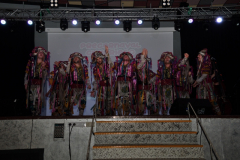 carnaval-miguelturra-precarnaval-2026