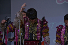 carnaval-miguelturra-precarnaval-2026