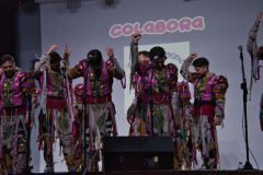 carnaval-miguelturra-precarnaval-2026