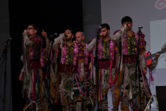 carnaval-miguelturra-precarnaval-2026