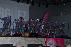 carnival-miguelturra-precarnival-2024