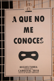 carnival-miguelturra-poster-announcer-2018