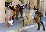 carnaval-miguelturra-concurso-fotografia-1999