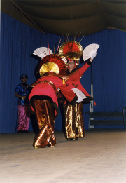 carnival-miguelturra-contest-photography-2000