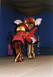 carnaval-miguelturra-concurso-fotografia-2000