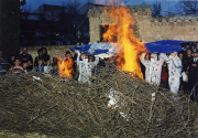 carnaval-miguelturra-concurso-fotografia-2003