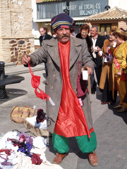 carnaval-miguelturra-premio-fotografia-color-2004