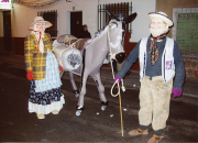 carnaval-miguelturra-premio-fotografia-color-2005