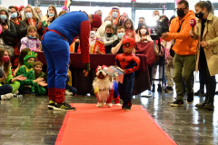 carnaval-miguelturra-dejando-huella-2022