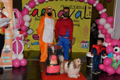 carnaval-miguelturra-dejando-huella-2022
