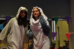 carnaval-miguelturra-mascotas-2024
