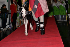 carnaval-miguelturra-mascotas-2024