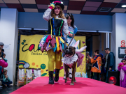 carnival-miguelturra-pets-2025