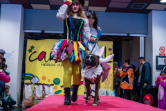 carnaval-miguelturra-mascotas-2025