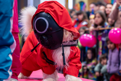 carnaval-miguelturra-mascotas-2025