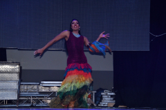 carnival-miguelturra-drag-2024