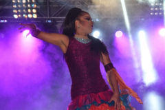 carnival-miguelturra-drag-2024