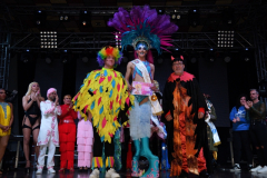 carnival-miguelturra-drag-2024