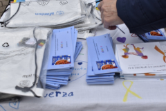 carnaval-miguelturra-embajadores-2025